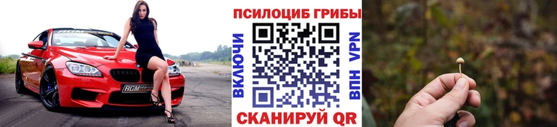 закладка  Елизово  Галлюциногенные грибы прущие грибы 